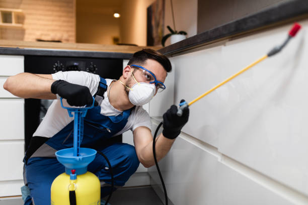 Pest Control for Restaurants in Brady, TX