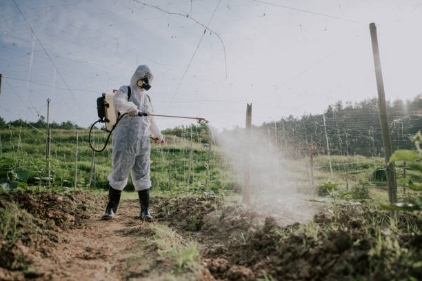 Best Commercial Pest Control Services  in Brady, TX