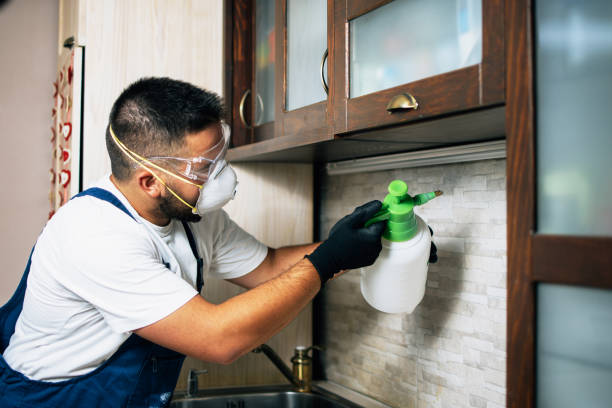 Best Pest Prevention Services  in Brady, TX