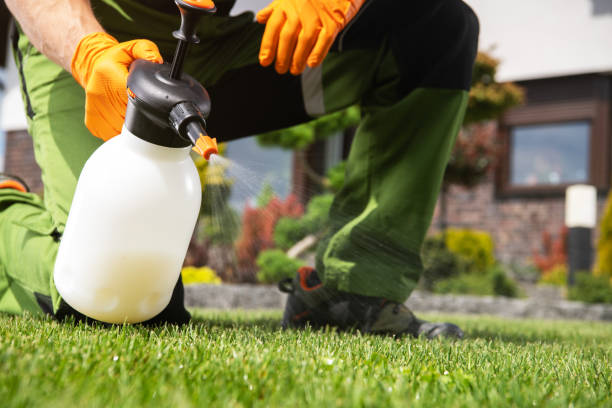 Best Best Pest Control Companies  in Brady, TX