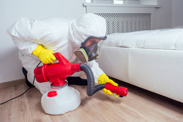 Professional Pest Control in Brady, TX