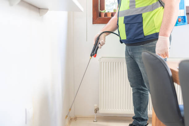 Best Local Pest Control Services  in Brady, TX