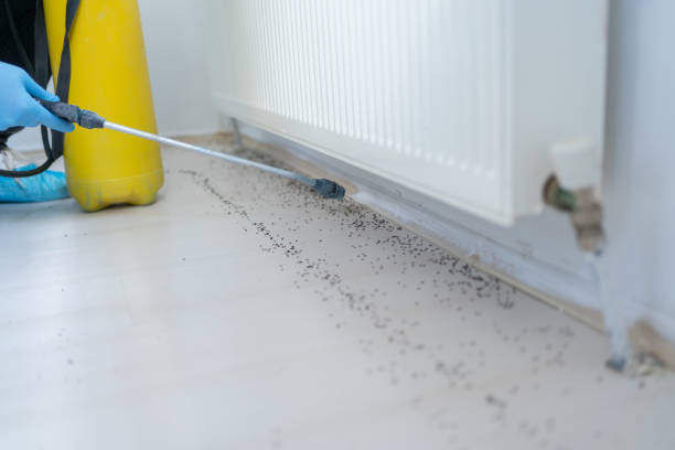Pest Control Cost in Brady, TX