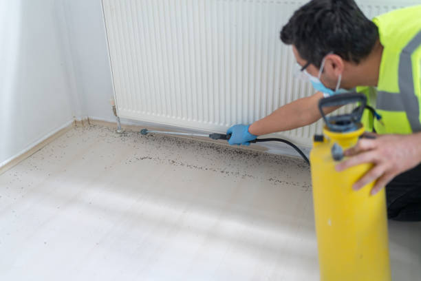 Best Exterminator Services  in Brady, TX